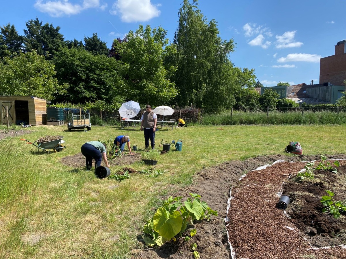 Drie mensen werken in een tuin, planten bloemen en groenten. Op de achtergrond is een houten schuur en een onbewerkte groene omgeving zichtbaar onder een heldere blauwe lucht.