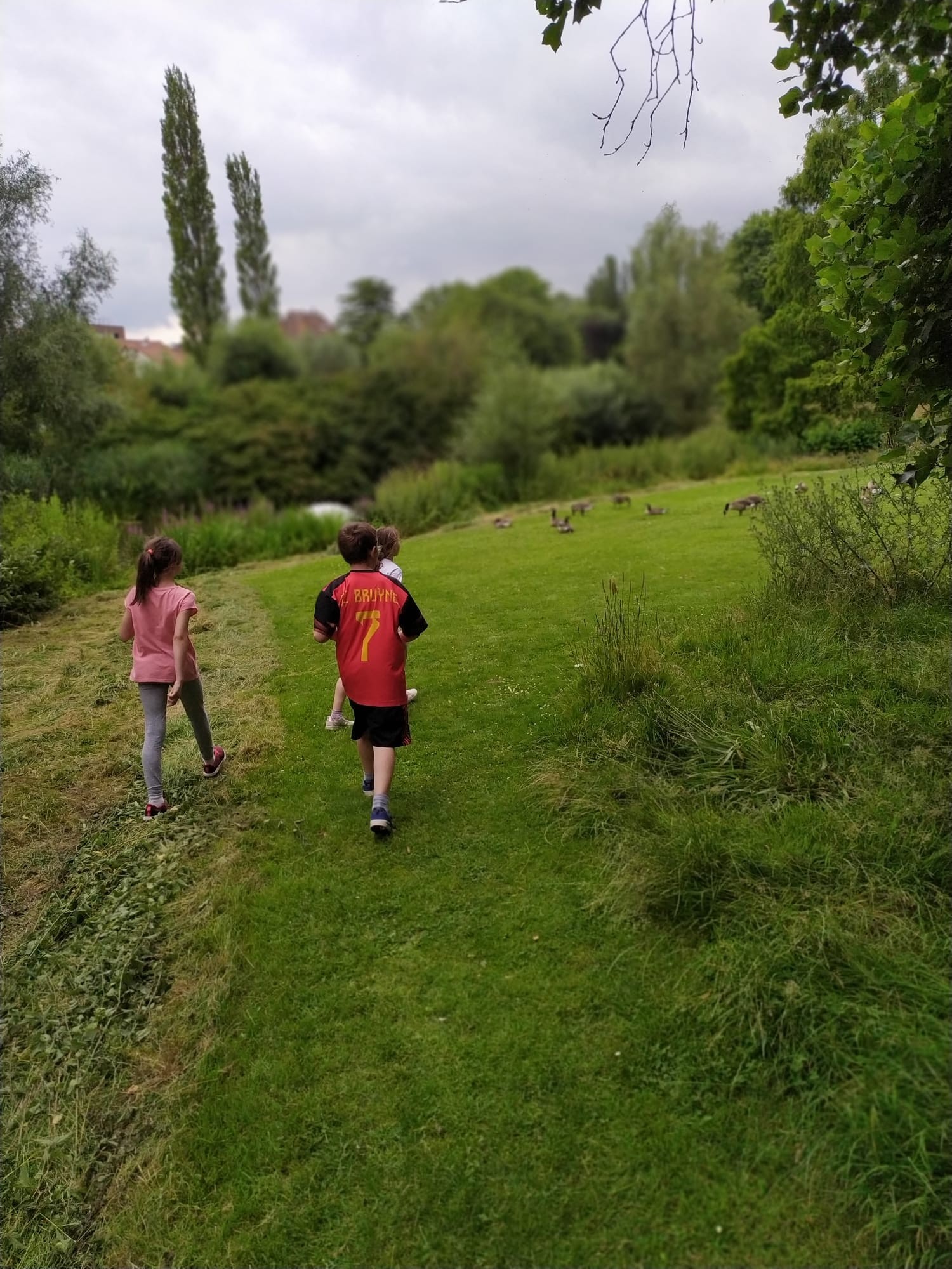 Drie kinderen wandelen over een groen grasveld, omringd door bomen en struiken, met een bewolkte lucht op de achtergrond.